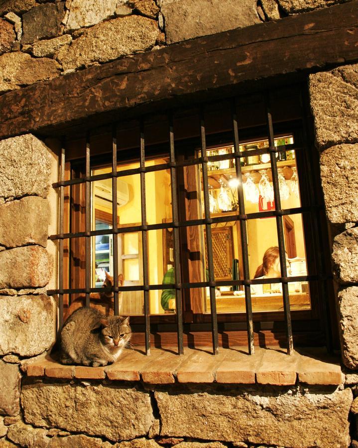 Posada La Gatera Pedro Bernardo Bagian luar foto